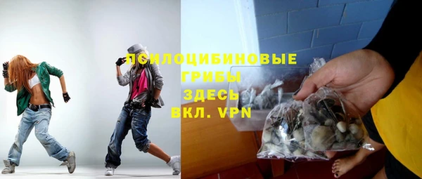 винт Гусев