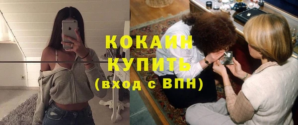 винт Гусев